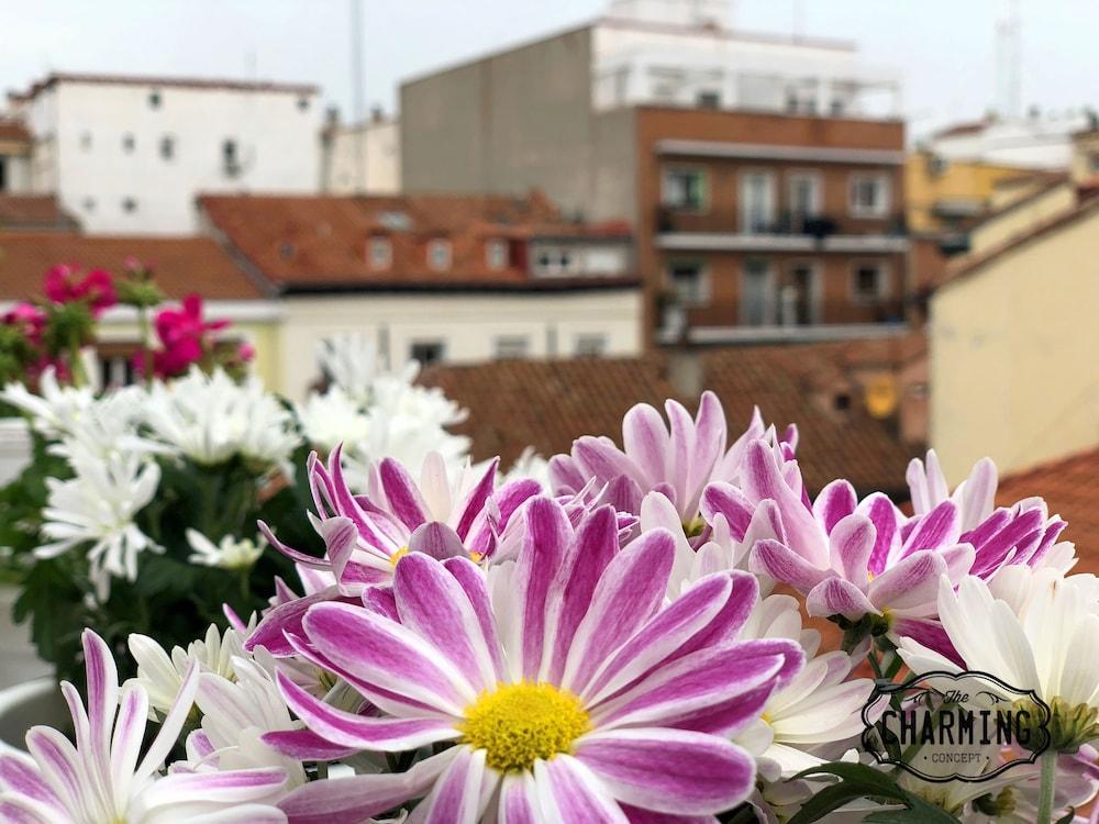 Charming Oasis In The Centre Of Madrid Appartamento Esterno foto